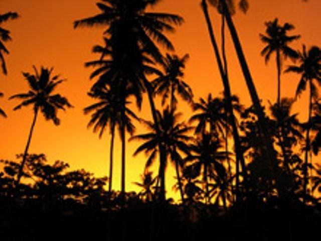 Dolphin Bay Divers Retreat Hotel Vatolotolo Luaran gambar